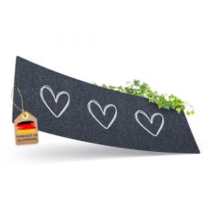ElbFuchs® Paillasson intérieur entrée 100x35 cm avec cœurs | Lavable en Machine, antidérapant, Absorbant, adapté sous Porte et Usage extérieur (Rolf & Pfeil, neuf)