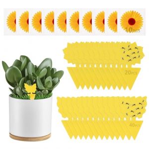 Anti Moucherons Plantes Interieur 60 + 10 Piege a Mouche de Fen&ecirc;tre Attrape Moucheron de Terreau Cuisine Produit Anti Moucherons Maison Collant R&eacute;pulsifs Insectes Protege Fruits Puissant Adh&eacute;sif (Turiueba, neuf)