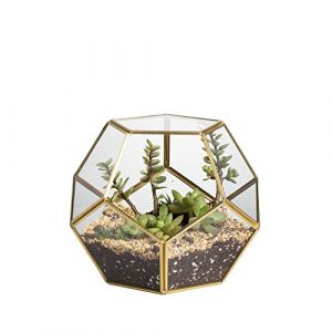 NCYP Terrarium en Forme de dod&eacute;ca&egrave;dre et plaques de Verre pentagonales pour Plante Transparent Gold Copper Transparent (Pas de Plantes) (Zhongpengcheng EU, neuf)