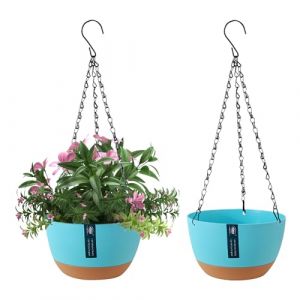 EACHPT 2 Pièces Pots de fleurs à Suspendre, Pot de fleurs Suspendu à Arrosage Automatique,pots de fleurs Suspendus pour lextérieur avec trous de Drainage et Soucoupe Amovible pour Plafond Balcon Φ21CM (XsyAy, neuf)