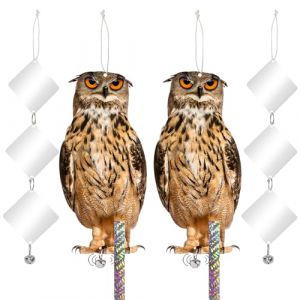 Anti Pigeon, Effaroucheur Oiseaux, Repulsif Pigeon, Corbeau Anti-Pigeon, Effaroucheur Pigeons Balcon, Hibou Anti Pigeons, Epouvantail pour Balcon Ext&eacute;rieur Jardin 2 Pi&egrave;ces Carton (Colour N Colours, neuf)