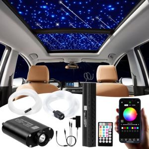 DEWEL Bluetooth 16 W RGBW LED Fibre Optique Lumière Étoile Kit 300pcsx 0,75 mm x 2 m/Meteor 3W Blanc 120pcs x 1,0 mm x 2 m Fibre Optique Télécommande 28 Touches pour Bar/Café/Fête/Maison/Voiture (cathybaobao, neuf)
