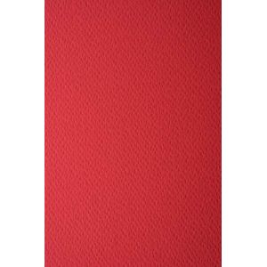 Netuno 10x papier couleur rouge rubis A3 297x420mm Prisma Rubino 220g papier cartonn&eacute; gaufr&eacute; une face papier d&eacute;coratif pour imprimantes d&eacute;coration scrapbooking invitations bricolage cartes de v&oelig;ux (netuno, neuf)