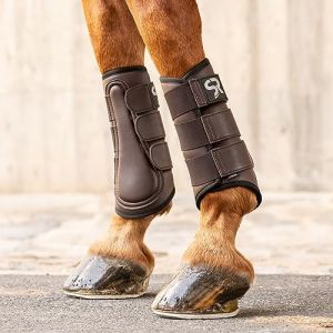SUNRIDE guêtres de Dressage pour Chevaux (Set de 2) en Cuir véritable de première qualité et néoprène pour la Protection Contre Les blessures (M/28 cm, Marron) (SR SUNRIDE, neuf)