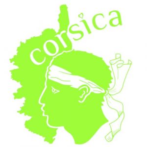 Sticker Corse, Stickers Auto Corsica, Autocollant Tete de Maure, Vinyle haute performance pour Voiture (vert lime, 21 x 24 cm) (tmz-creation, neuf)