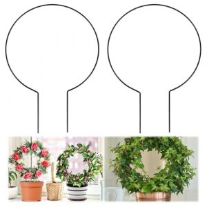 Tyqour Lot de 2 tuteurs ronds en m&eacute;tal pour plantes d'int&eacute;rieur - 20 x 28 cm - Rond - Aide &agrave; l'escalade pour plantes grimpantes - Rotin rose (Passingby, neuf)