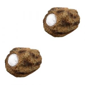 2 pièces lampe solaire en pierre ornement de jardin solaire lumière de paysage solaire lampe décorative de jardin lampe de jardin solaire projecteur de roche solaire lumière de sol décorative lumière (91140100MA0K3T8X1M, neuf)