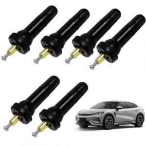 Funworth 6 pièces Valve Capteur TPMS/RDKS Pour Pneus, Universel Ustensile Tpms, Capteur De Des Pneus Tiges de Valve de Pneu Système de Surveillance de la Pression des Pneus Inserts de Valve de Tige (FunWorth, neuf)