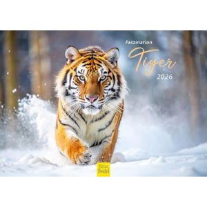 Edition Seidel Calendrier mural 2026 de qualit&eacute; sup&eacute;rieure - Format A4 - Calendrier mural - Afrique - Asie - Famille de tigres - Chiot - Chats - Grands chats - Pr&eacute;dateurs - Animaux sauvages (Seidel Verlag GmbH, neuf)