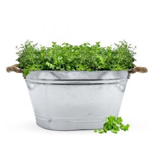 Spetebo Bac à fleurs en zinc avec poignées en corde de jute – 52 x 37 cm – Bac à plantes ovale argenté galvanisé – Décoration de jardin bac à fleurs bac à plantes bac en zinc (Special-trends, neuf)