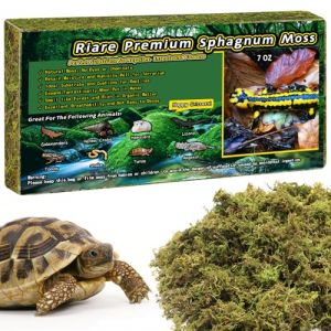 Riare Mousse de sphaigne Naturelle de qualité supérieure pour Reptiles - Mousse Verte Vivante pour Terrarium, éclosion, substrat de sphaigne forestière pour Serpents, Gecko (200g) (YLGA, neuf)