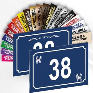 Numéro De Maison Déco Personnalisable – Plaque De Numéro De Rue PVC Extérieur - Logo Ou Motif Et Numéro Gravé – Fixation Adhésif Ou Trous Ou Cache Vis – 15 x 10 cm (Bleu + Dessin) (GRAVURE ET COMPAGNIE, neuf)