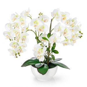 PASCH Orchid&eacute;e artificielle XXL (56 cm) dans un pot en c&eacute;ramique brillante | Orchid&eacute;es artificielles comme de vraies | Orchid&eacute;es artificielles en pot | Fleurs artificielles en pot (blanc) (Pasch, neuf)