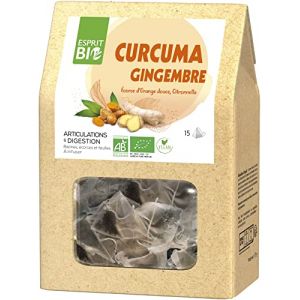 Esprit Bio Curcuma Gingembre &agrave; Infuser Bio 15 Sachets (Cocooncenter, neuf)