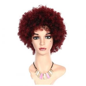 Naturelle Perruque Perruques afro courtes moelleuses crépues cheveux bouclés perruques noires pour femmes noires perruques afro bouclées perruques douces rebondissantes Cheveux Naturel (yizhishizizaichuangtou, neuf)