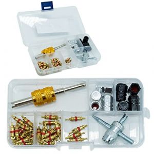 SZXMDKH 40Pcs Demonte Valve Pneu Outil Démonte obus de Valve Outil de Reparation avec Valve Core pour Voiture Remplacement, 4-1 Outil de Réparation de Valve de Pneu, Démonte Valve Pneu (RCASKYE LTD, neuf)