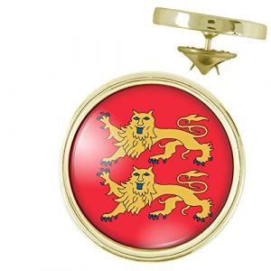 Reloadshop Pin's Dor&eacute; 20mm Blason Haute Normandie Drapeau Symbole France (Badgmania, neuf)