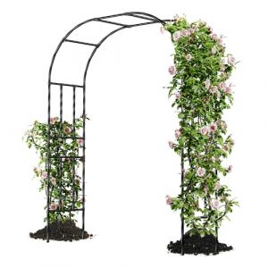 Caroeas Arche de Jardin pour Plantes Grimpantes,150x240x40cm，Arceau Métallique pour Rosiers, Tonnelle Décorative Extérieure, Résistante à la Rouille et à la Décoloration (Kailuo Europe, neuf)