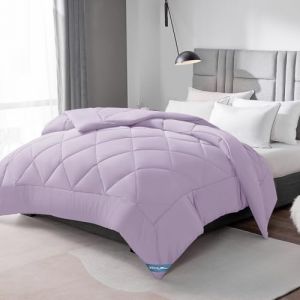 WAVVE Couette Tempérée 300GSM en Microfibre, Édredon Lit 2 Personnes 240x260 cm pour Lit 160x200/180x200/200x200, Grand Chaud Épais Garnissage 300g/m², 260x240 Mauve (Wavve EU, neuf)
