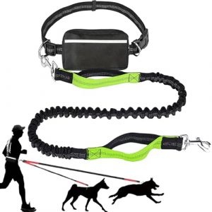 Upliftjoys Laisse pour chien mains libres avec pochette &agrave; fermeture &eacute;clair, coutures r&eacute;fl&eacute;chissantes, taille r&eacute;glable, deux poign&eacute;es rembourr&eacute;es pour la course, la marche et la randonn&eacute;e (vert, corde (shop-Bs-service, neuf)