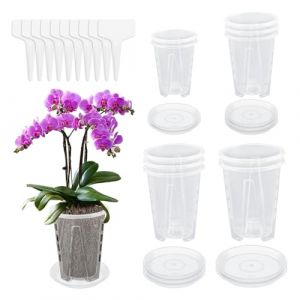 Lot de 10 pots &agrave; orchid&eacute;e, transparents, en plastique, avec trous et soucoupes, respirants, pour orchid&eacute;e, p&eacute;pini&egrave;re, jardin, balcon, int&eacute;rieur et ext&eacute;rieur (yunchengjingjijishukaifaquzhaojunkejiyouxiangongsi, neuf)