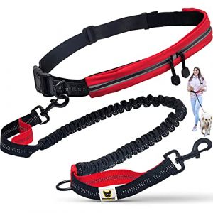 Hundefreund Laisse de Jogging avec Ceinture | Laisse pour Canicross de 120 à 180 cm pour Chiens de Taille Moyenne à Grande | Faites du Vélo, de la Course à Pied et de la Randonnée aux Mains Libres (hundefreund, neuf)