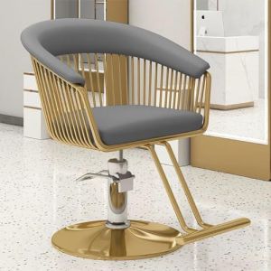 PA-DABAOO Fauteuil De Coiffure Réglable, Pivotant À 360 Degrés Et Pompe Hydraulique, Fauteuil De Barbier De Style Classique Avec Pédale,Gris (Panda-Dabaoo, neuf)