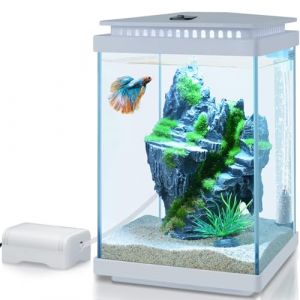 PYPABL Kit Aquarium en Verre 4L, Réservoir Betta, Kit De Démarrage pour Mini Aquarium, avec Pompe à Air, LumièRe LED, Filtration, Décoration, Changeur d'eau (Blanc) (PYPABL, neuf)