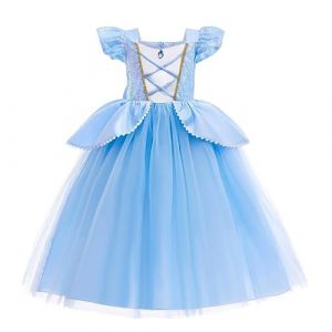 Lito Angels Deguisement Costume Robe de Princesse Cendrillon Fête Anniversaire Carnaval pour Enfant Fille Taille 2-3 ans, Bleu (étiquette en tissu 100) (Lito Angels FR, neuf)