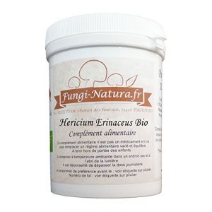 HERICIUM ERINACEUS BIO 100 GRAMMES - Société Française - Certifié Bio (FUNGI NATURA ✅, neuf)