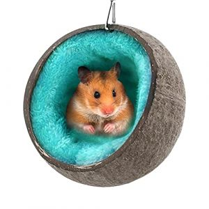 Hamac pour hamsters - Hamster en noix de coco naturelle, coquille de noix de coco | Maison pour hamsters Cage Cachette pour hamsters Jouet Gerbil hamster Maisons naines pour décorations pour gi (guardertu, neuf)