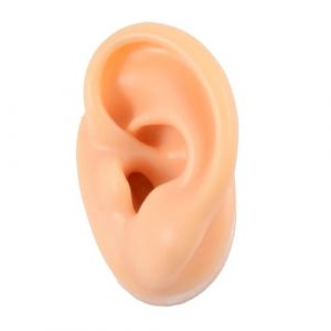 POPETPOP Mod&egrave;les D'oreilles Mod&egrave;le D'oreille R&eacute;aliste Beige (Denneyas, neuf)