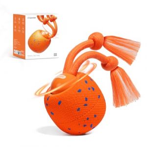 Cheerble Balle Interactive pour Chien - Wicked Ball Rolly avec Queue & Aboiements, Jouet Intelligent pour Chien avec 3 Modes, E-TPU, Rechargeable USB-C, pour Chiens de Taille Moyenne à Grande, Orange (cheerble, neuf)