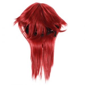 PACKOVE Perruque Mulet Longue Pour Homme Perruque Cosplay Pour Fête Costume Animé Mulet (Spring TU, neuf)