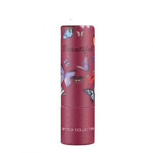 Gloss à lèvres hydratant en tube de papier rouge à lèvres Velvet Fog is Not Easy To Decolor Border Lipstick Makeup Artist Must Have (F, taille unique) (Weizun Maoyi, neuf)