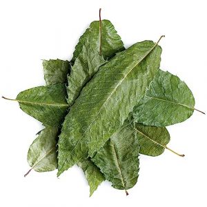 Chataignier Feuille Thé - Thé Aux Marrons - Marronnier D'Inde Chataigne Thes Marrons Châtaigne Tisane Marronnier D'Inde Feuille De Chataignier The Aux Marrons Feuilles De Marronnier (Valley of Tea, neuf)