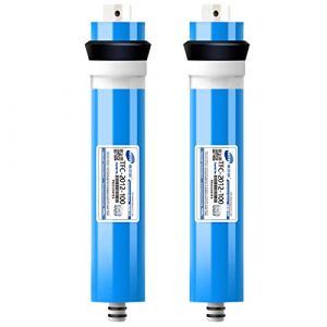 Membrane RO d'osmose inverse Remplacer Purificateur Filtre &Agrave; eau Ro, 200 300 400 600 GPD Membrane D'osmose Inverse, &Eacute;l&eacute;ment Filtre &Agrave; Eau Domestique &Agrave; Osmose Inverse (2012-100 GPD, 2pcs) (Dsongo, neuf)