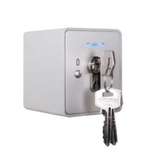 Interrupteur &agrave; Cl&eacute; 230V Verrouillage Apb 1-1R, Commande de Porte, Sauvegarde De Moteur (Torundantrieb, neuf)