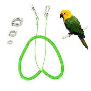 Andiker Corde de volant pour perroquet 5 m pour pied de perroquet pour entraînement au vol, harnais d'entraînement avec cordon élastique anti-morse pour oiseaux de storage (vert) (JDCR Cozy Life Mall, neuf)