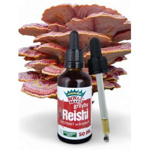 Royal Brand Supplément de champignon Reishi/Notre extrait de champignon Reishi favorise la longévité/Teinture de champignon Reishi – 50 ml / 1,7 Fl Oz (Vanilla-Vanille- Shop, neuf)