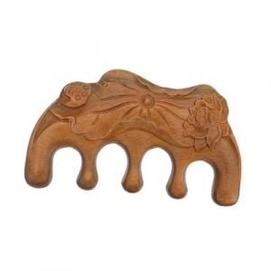 SHERCHPRY Peigne De Massage Pour Cheveux Peigne &agrave; Dents Larges Outil De Massage Pour Chevelu (Dnna Huang, neuf)