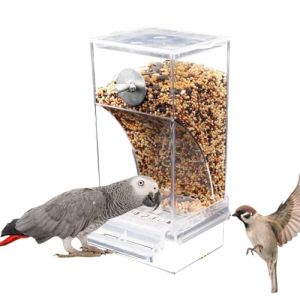 Mangeoire À Oiseaux Automatiques, Mangeoire pour Colibris Mangeoire Oiseaux Anti-Gaspillage Mangeoire en Acrylique Mangeoire Oiseaux Abreuvoir Automatique pour Perroquets (zoncy, neuf)