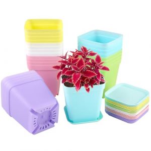 24 Pi&egrave;ces 7CM Petit Pot de Fleur Semis, Color&eacute; Pot Plastique Plante, Godets pour Semis avec Plateau, Carr&eacute; Godets Pot de Repiquage, Mini Jardiniere pour Petit Plantes, Succulentes, Boutures (hejiuwenhua, neuf)