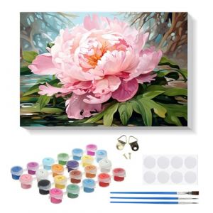 RICUVED Fleur Peinture Numero Adulte,rose Kits de Peinture au Num&eacute;ro avec pinceaux Peinture de Dessin de Pigment Acrylique, Paint by Numbers avec Cadre pour D&eacute;coration 20x30cm (FANDIJIA, neuf)