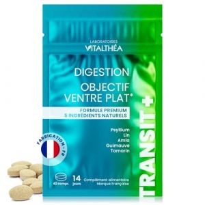 TRANSITAL PREMIUM x1 sachet| 5 actifs Transit Intestinal 100% Naturels | Détox Colon Rapide & Fibres |Ispaghul 600mg, Tamarinier Inde 450 mg| Anti-ballonnement & Constipation (42 unités (lot de 1)) (Laboratoires Vitalthéa, neuf)
