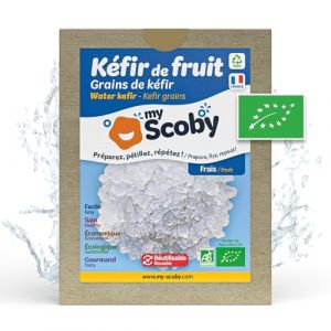 BIO grains de kéfir de fruit - Réutilisables - Controlés - Fabriqués en France - Recette complète incluse (Frais) (Orisae, neuf)