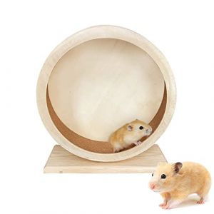 Jouet pour Petits Animaux Roue, Roue d'exercice pour Hamster, Roue de Hamster, Roue d'exercice Silencieuse en Bois pour Hamster, pour Hamsters, Gerbilles, Souris de Compagnie, Souris Blanches (Ccgxyr, neuf)