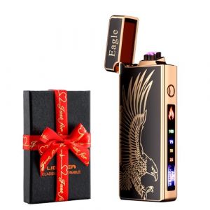 dachance – Briquet électrique personnalisable, résistant au vent, rechargeable par USB, double arc, pour le camping, cadeau de la Saint-Valentin (aigle) (joygalaxy, neuf)