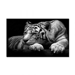 Mon Héros Académique Cosplay Perruque Shouto Todoroki Cosplay Perruque Résistant À La Chaleur Synthétique Boku Pas De Héros Académique Halloween Femmes Perruques (good stuff A, neuf)