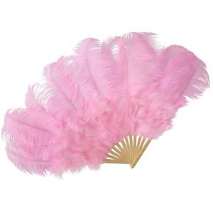 Éventail De Plumes D'autruche, Charisme De Scène Amélioré, 70 X 110 Cm, Grand Éventail De Plumes D'autruche, Grands Éventails De Danse, Cadre Léger, Pour Festival Burlesque, Théâtre, Scène, Fête De Ma (YingYingDP, neuf)